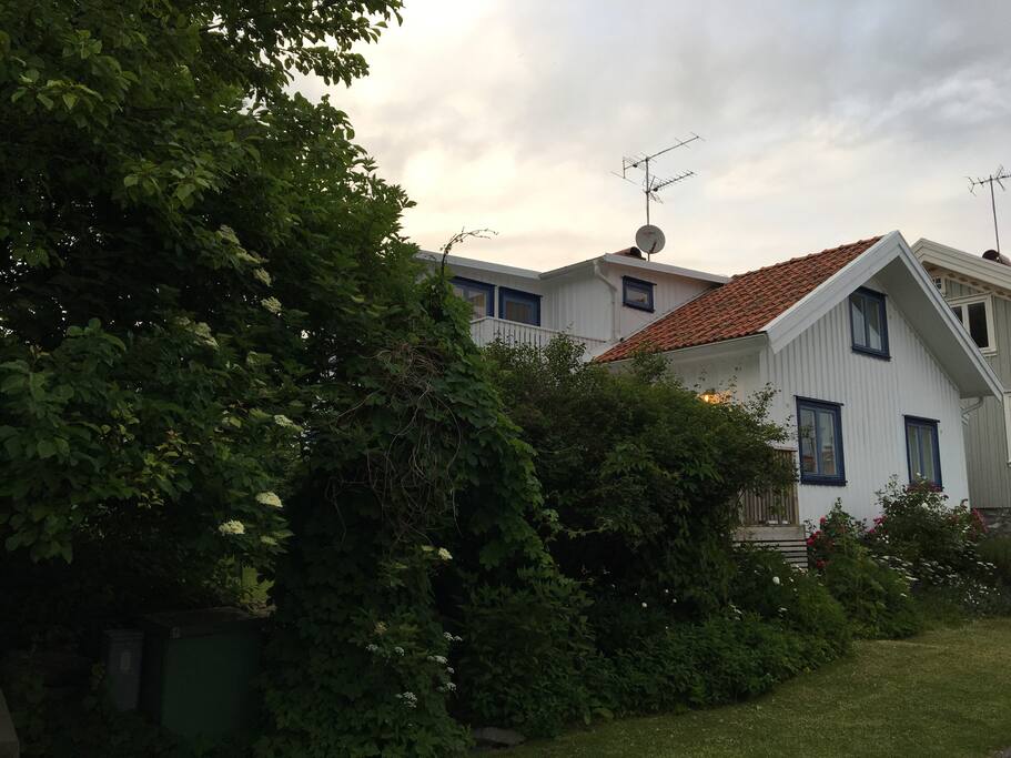 View of the house and the leafy garden