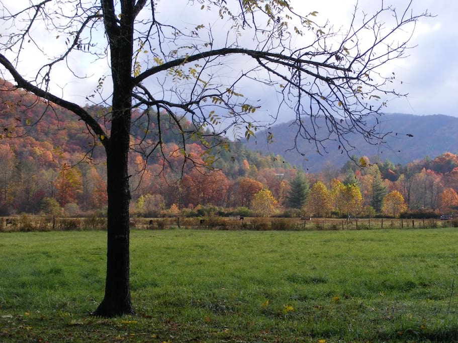 View from the porch in the Fall.