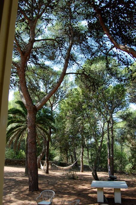giardino