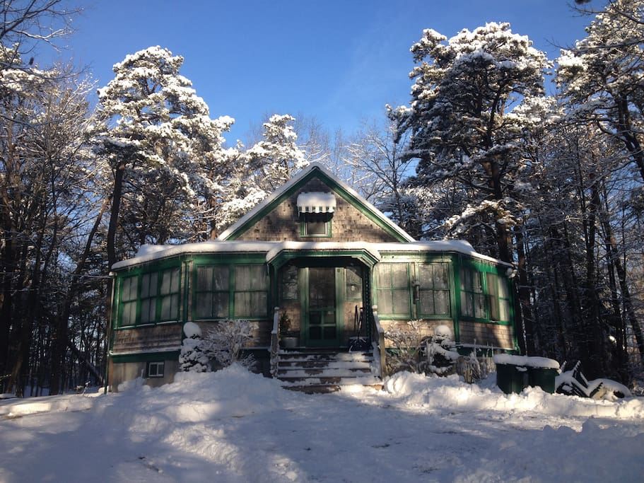 Tall Pines, let the magic begin Beautiful in winter with the tall pines covered in sparkling snow.