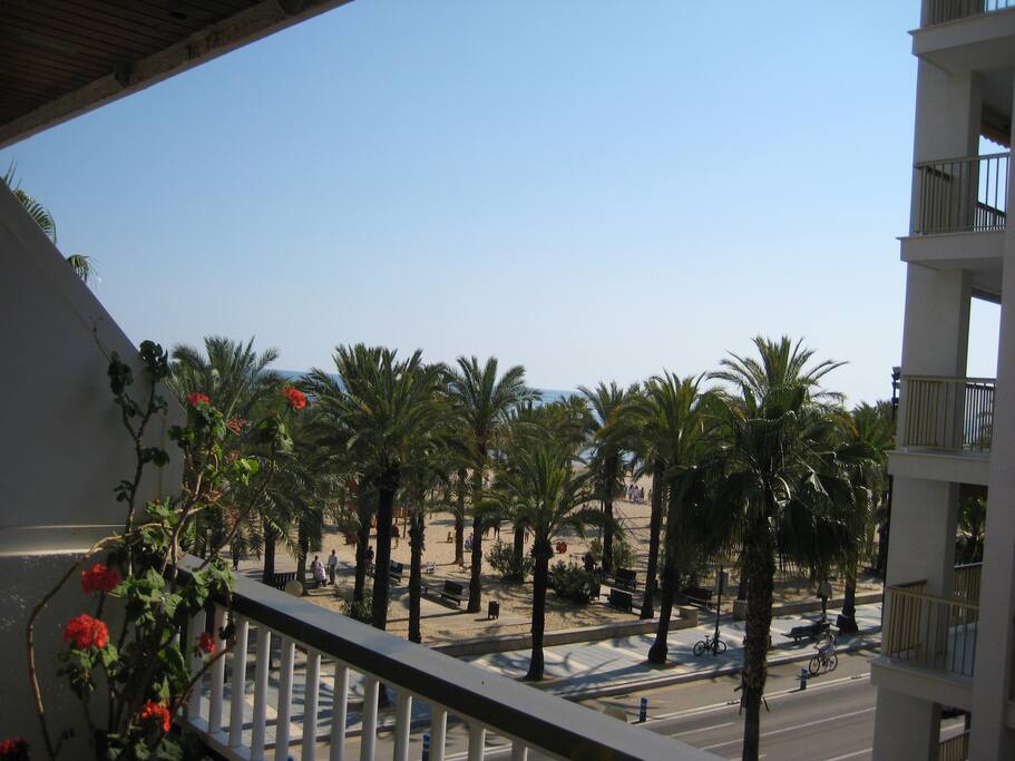 PRIMERA LINEA DE PLAYA
