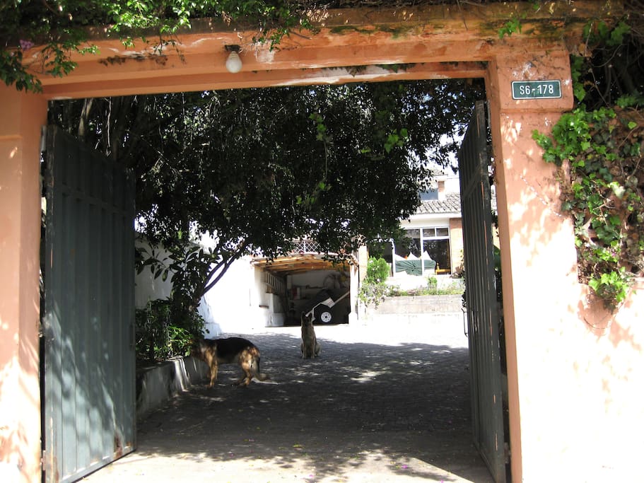 Front Gate