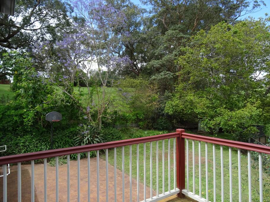 Large back yard