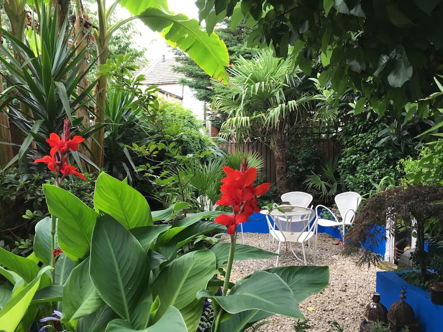 Tropical Moroccan style garden in back of house