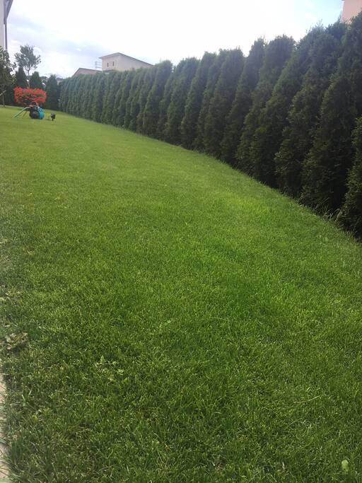 Garten