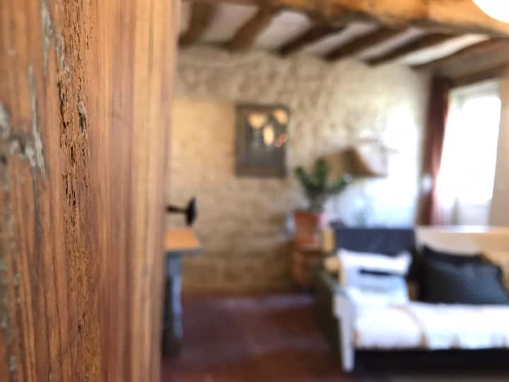 Au Coeur Du Val De Loire, A La Campagne - Avoine