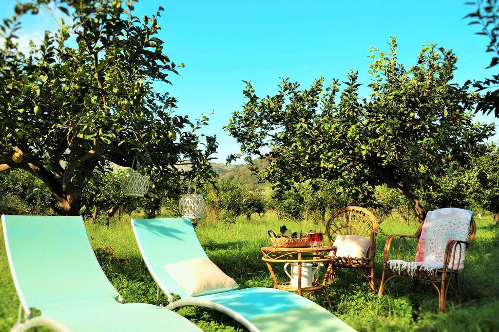 Giardino di limoni per il relax dei nostri ospiti