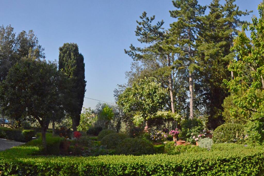 il giardino in fiore (aprile 2016)