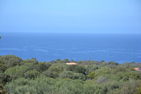 Villa overlooking the sea with pool in Balagne