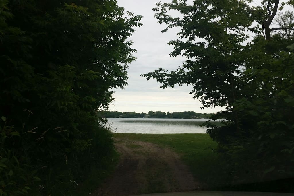 Dead Lake shore