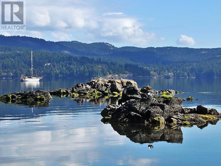 Oceanfront Black Otter Cove w/hot tub