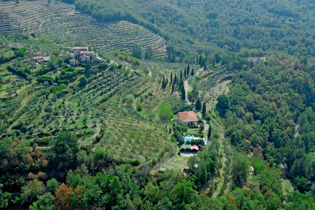 In mezzo al verde