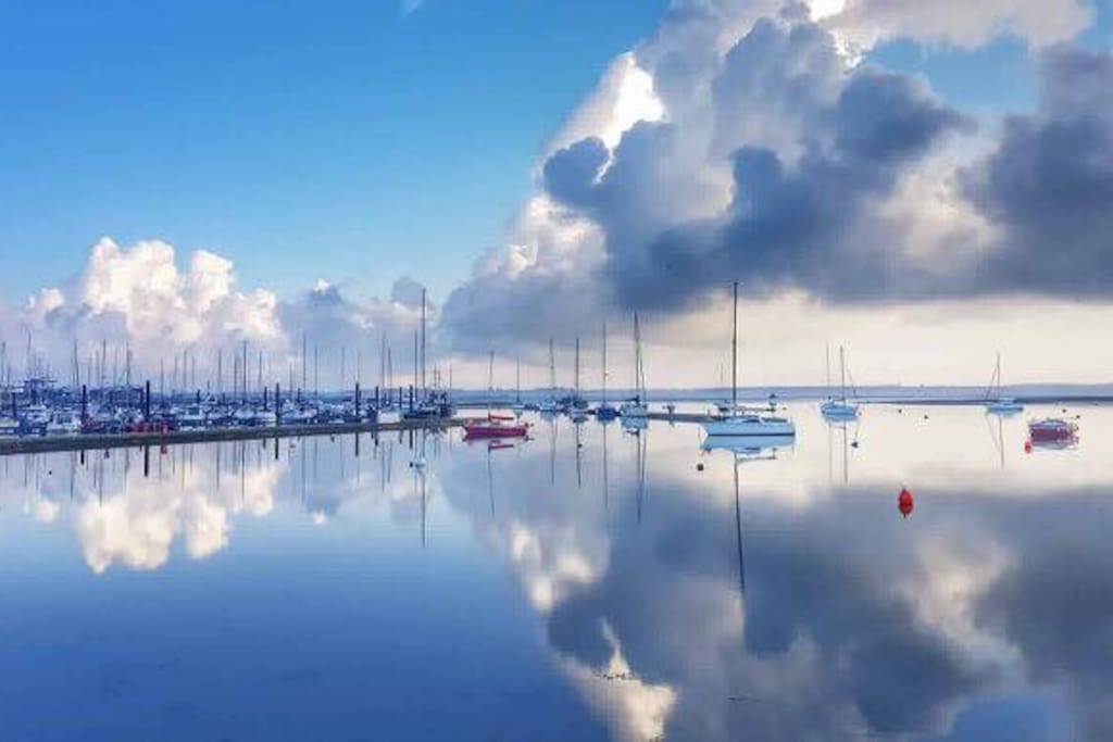 Estuary