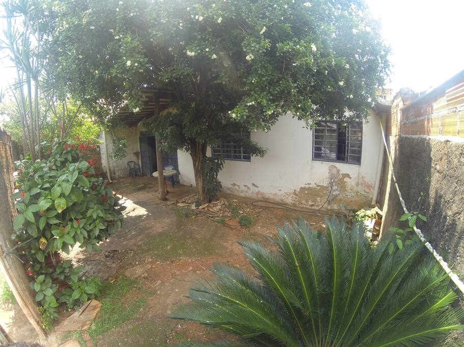 Jardim de entrada
