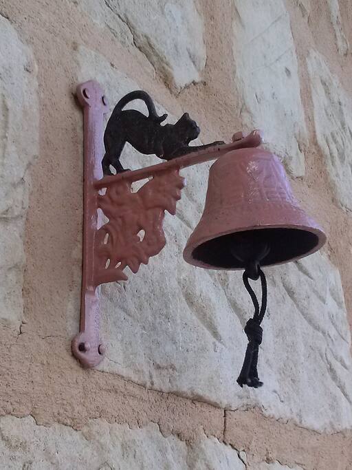 Gatto che suona