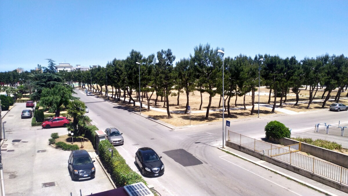 A view of a wide street framed by a row of tall trees on one side, indicating a park-like atmosphere. Vehicles are parked along the roadside, while grassy areas appear lined with paths. Clear blue skies suggest a sunny day.