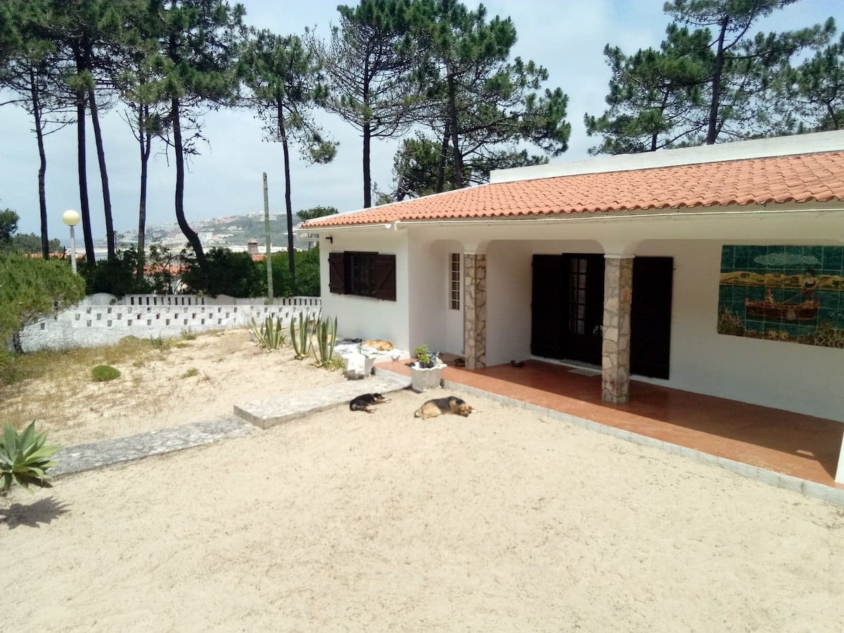 A country house is surrounded by sandy areas and tall trees. The entrance features a shaded porch with decorative stones. A mural depicting boats enhances the exterior wall. Two dogs are resting in the sandy area, contributing to a relaxed atmosphere.