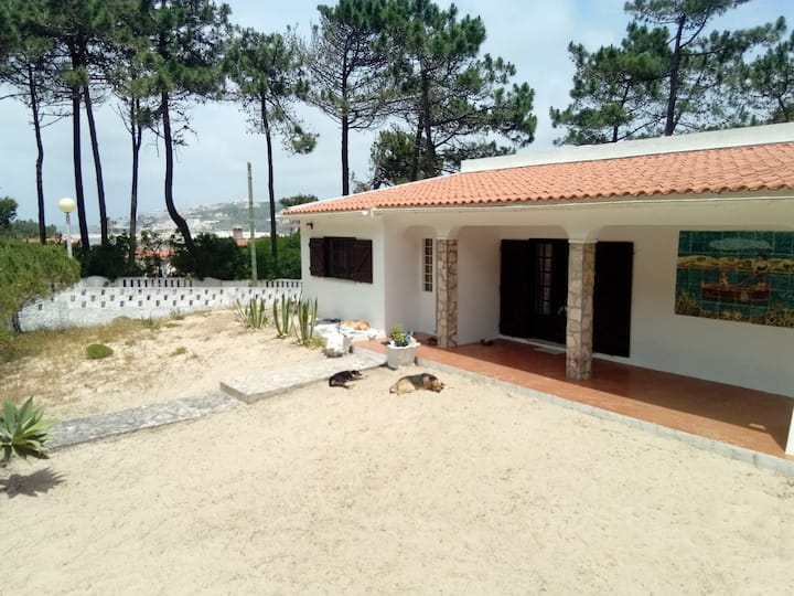 Casa Do Bosque - Foz do Arelho