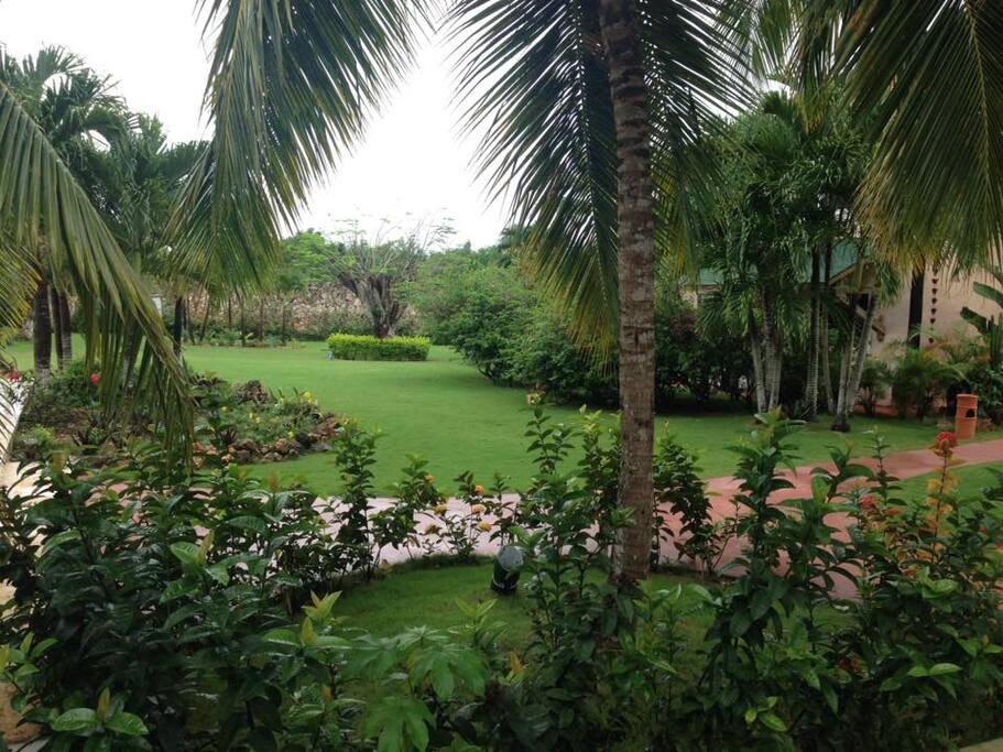 jardin comun