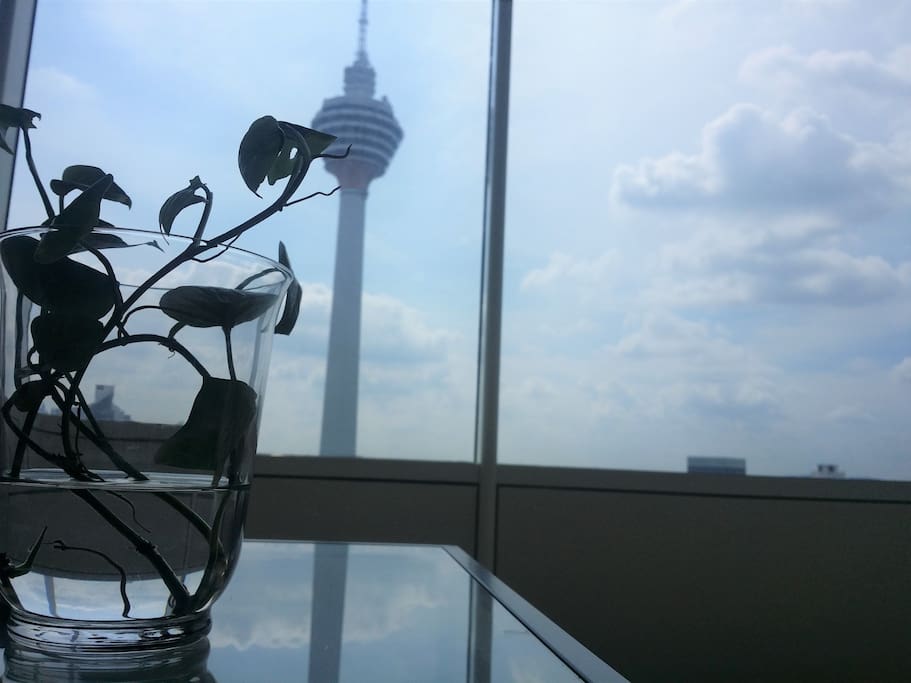 View from Living room