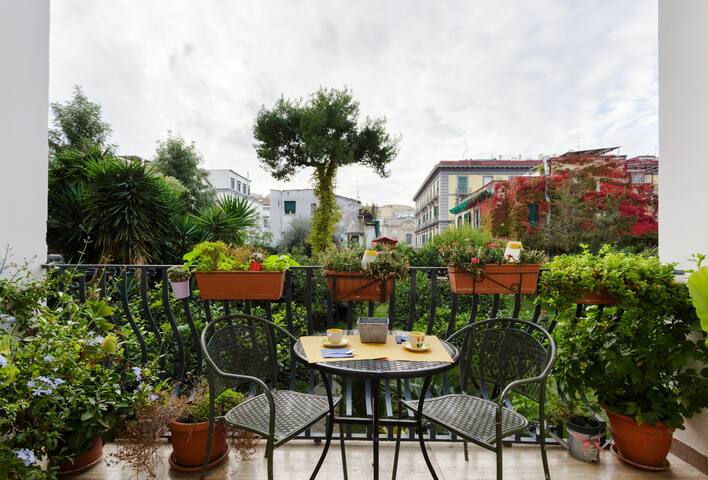 The Bellini Beauty: entire boutique hotel, 6 rooms