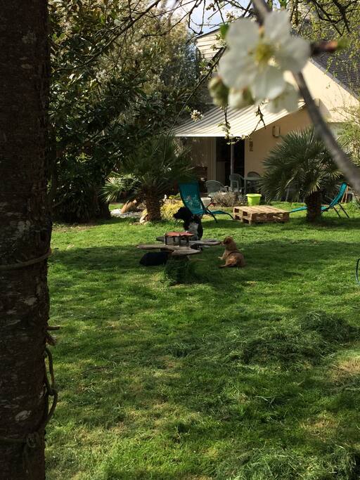 Jardin ombragé.