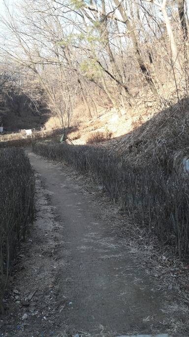 There is a promenade one minute away.
일분거리의 산책로