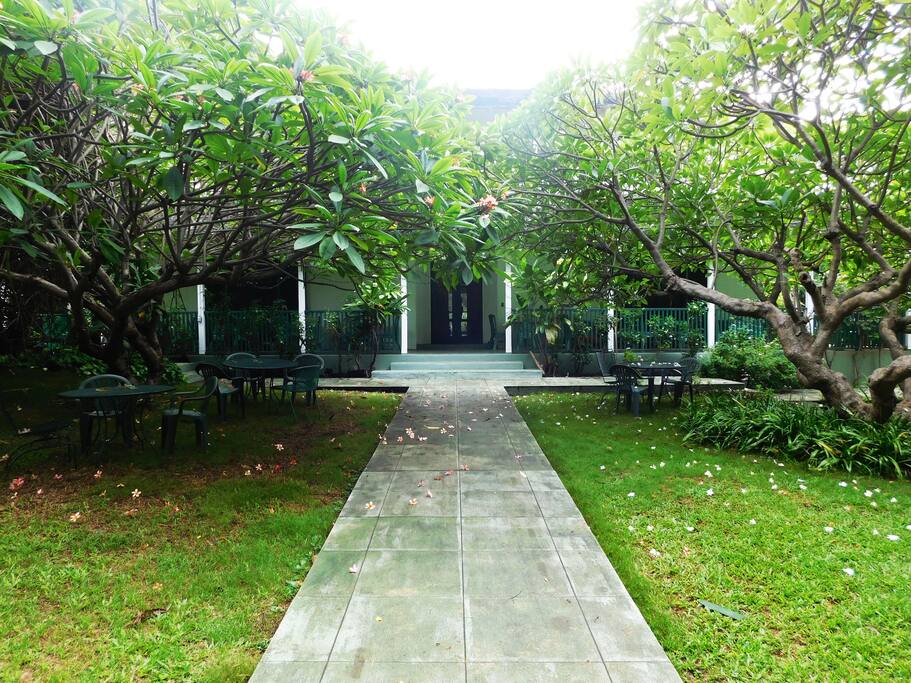 The acres surrounding the house are popular for outdoor gatherings. Photo by William Neal