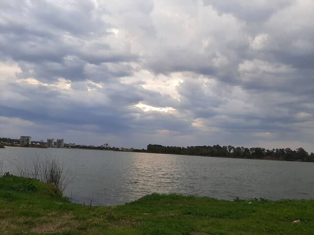 Download Hola decoracions de el partit gatet de la platja For Android Free Hola Decoracions De El Partit Gatet De La Platja