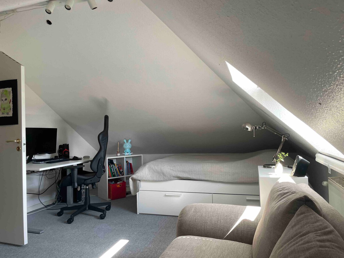 Dhomë adoleshentësh në katin e tretë. Dhomë e bollshme me një krevat me madhësi 140 cm, një divan për 5 persona dhe një televizor të madh. Shkallët deri në këtë kat janë  pak të pjerrëta, por nuk kanë qenë asnjëherë problem për vizitorët apo miqtë. Ndjenjë e shkëlqyer në apartamentin nën çati:)