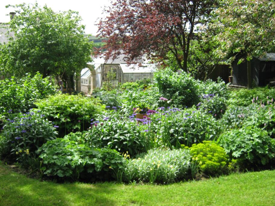Looking from the top of the garden