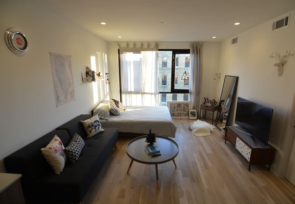Entire spacious private studio all to yourself