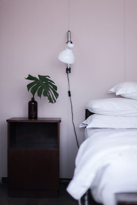 Don`t you feel just happy to see a green plant on your first sight in the morning?