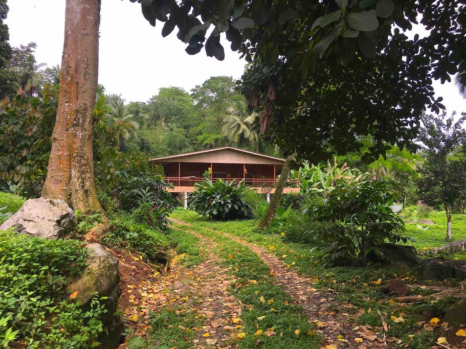 A self-sustainable house between the jungle and the beach