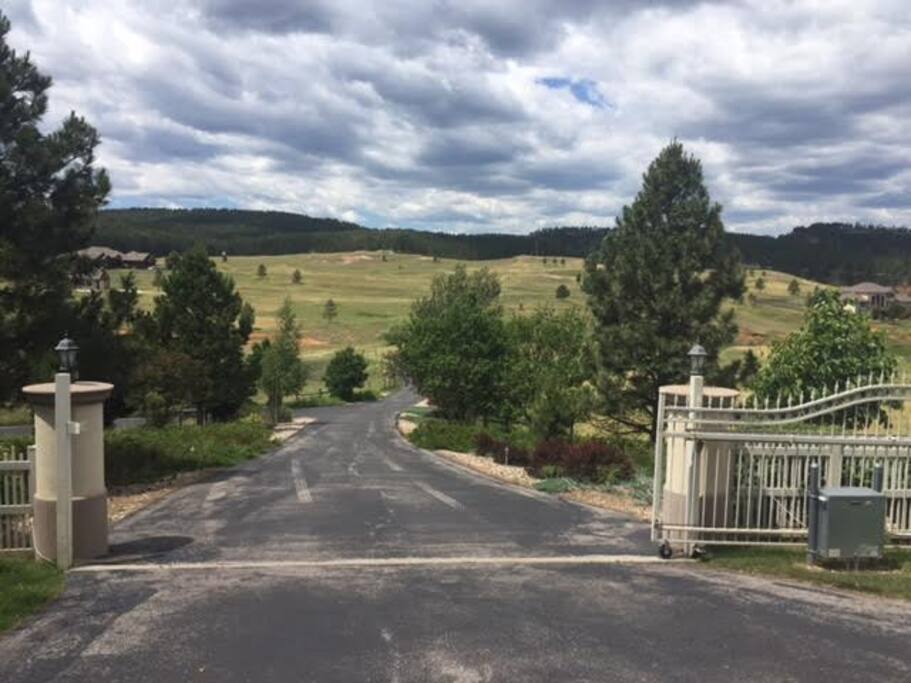 Driveway to the house.