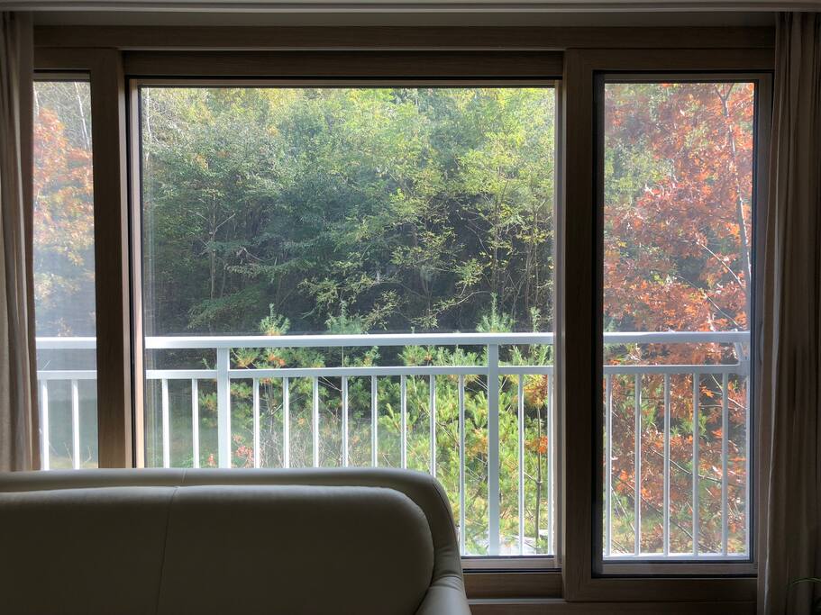 거실 뷰 / view from the window