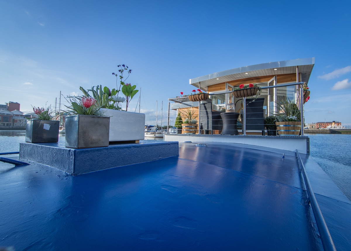The upper deck of the barge features a flat blue surface adorned with potted plants, including succulents and flowering varieties. In the background, a spacious lounge area is visible, with comfortable seating and decorative elements, all set against a clear blue sky and waterfront view.