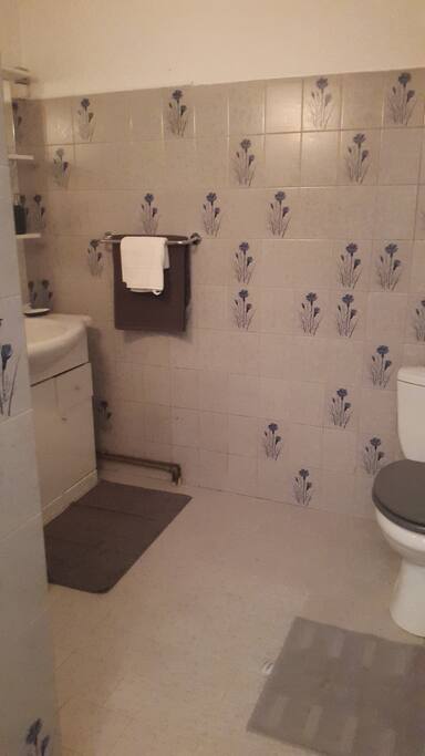 Salle de bain avec douche
