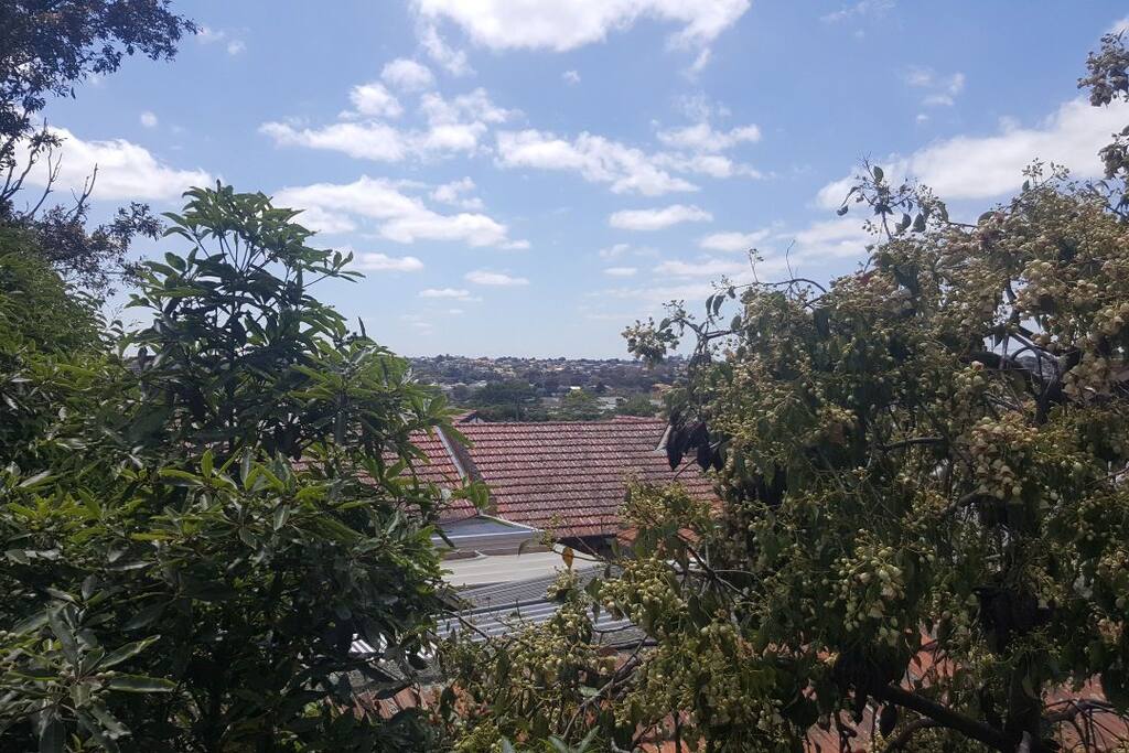 View from apartment