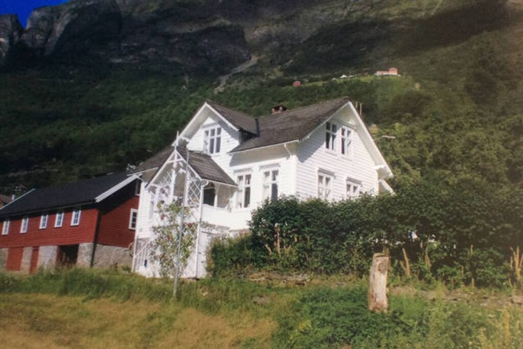The house
