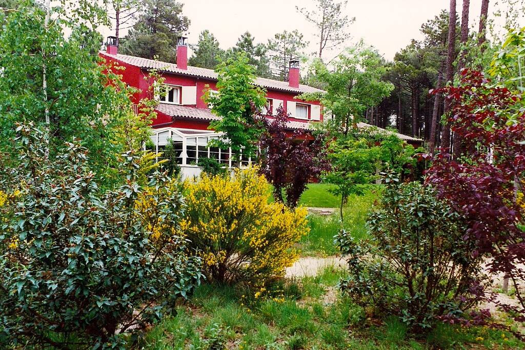 Casa y jardín / House with garden