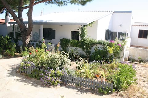 Lovely House on Armona Island!