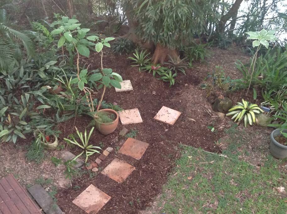 Back garden