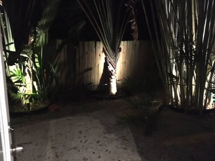 view from interior looking out into garden at night