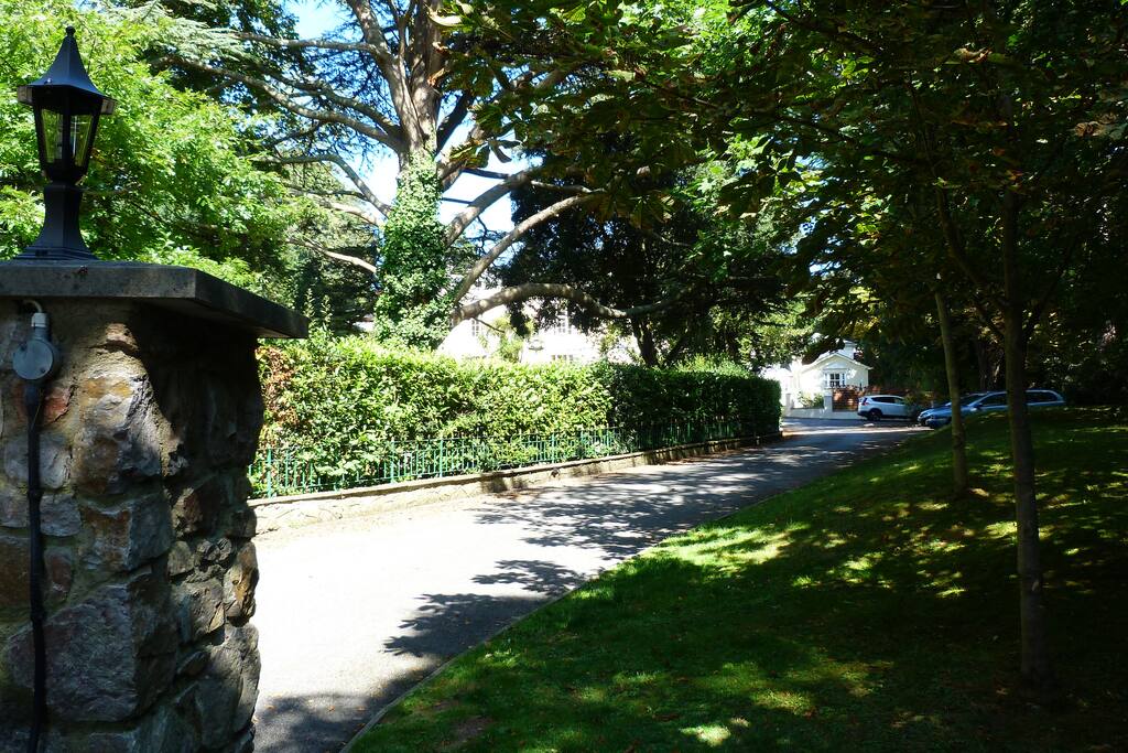 The main drive