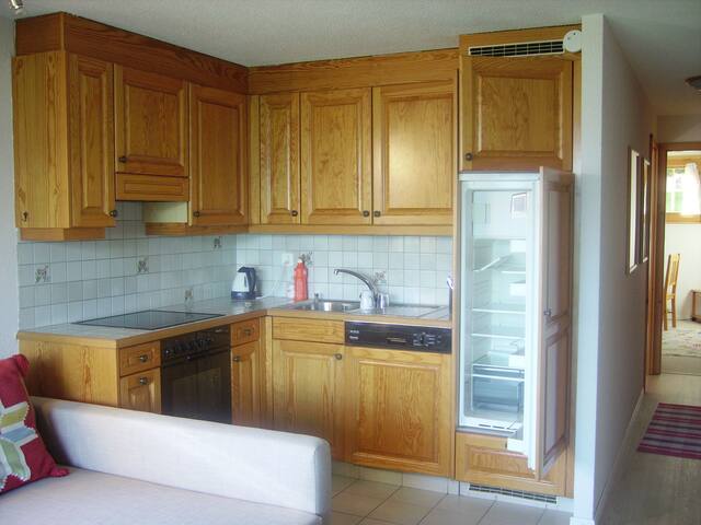 Villars sur Ollon garden and panoramic view gallery image 4