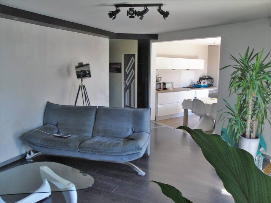 Grand espace ouvert cuisine et salon