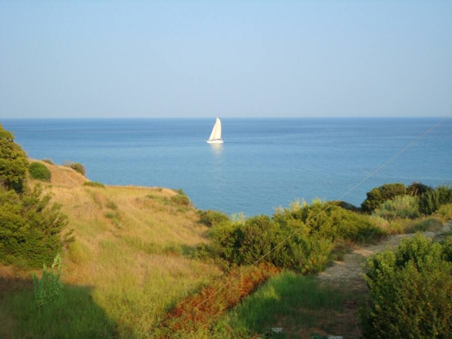 View from apts