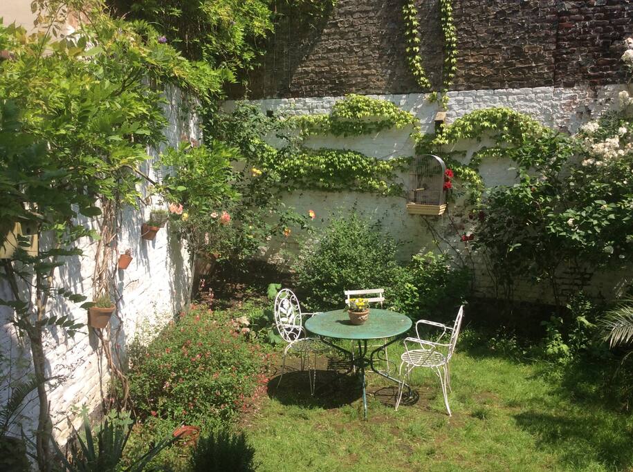 Lovely garden