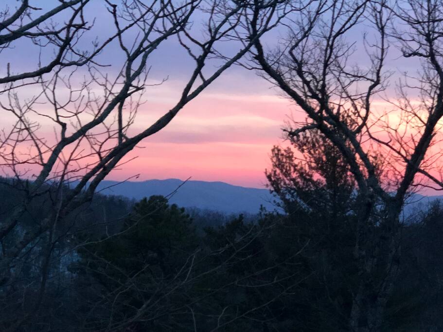 Last Friday evening just before sunset our guest, Sandy Tate took this photo!
